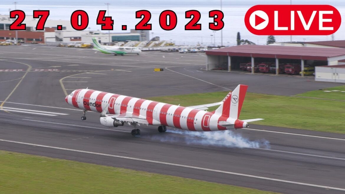 LIVE Action AIRBUS A400 SPECIAL from Madeira Airport 27.04.2023