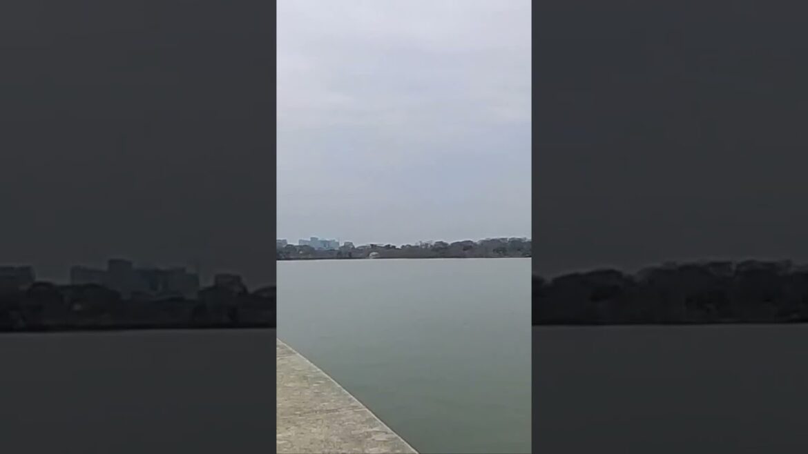 2023 National Cherry Blossom Festival Preview