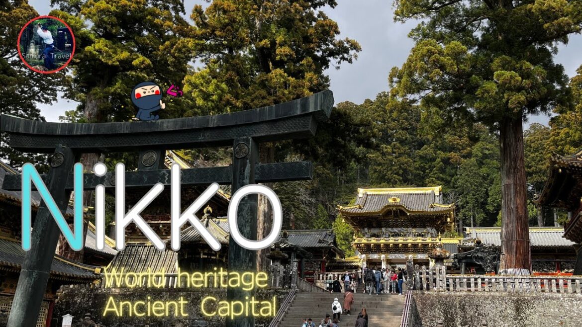 4K | お得な日光旅行！🎌🌸⛩ 絶景と世界遺産を１泊で満喫！