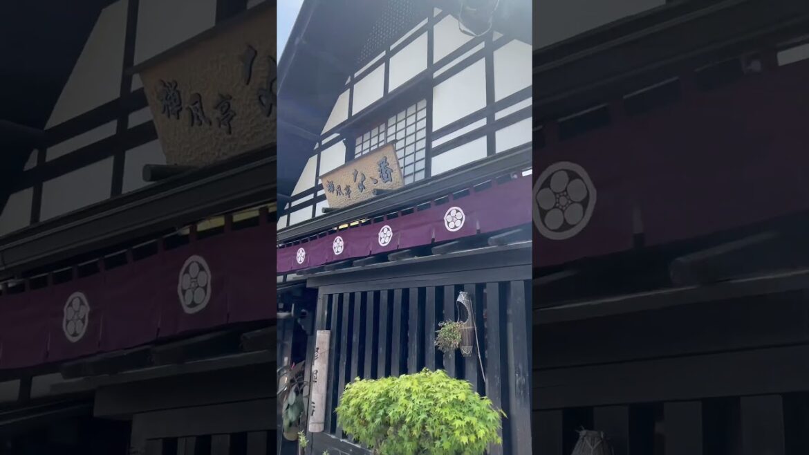 Dog walk in Shuzenji! #dogs #enjoytheday #dogvanlife #japantourism