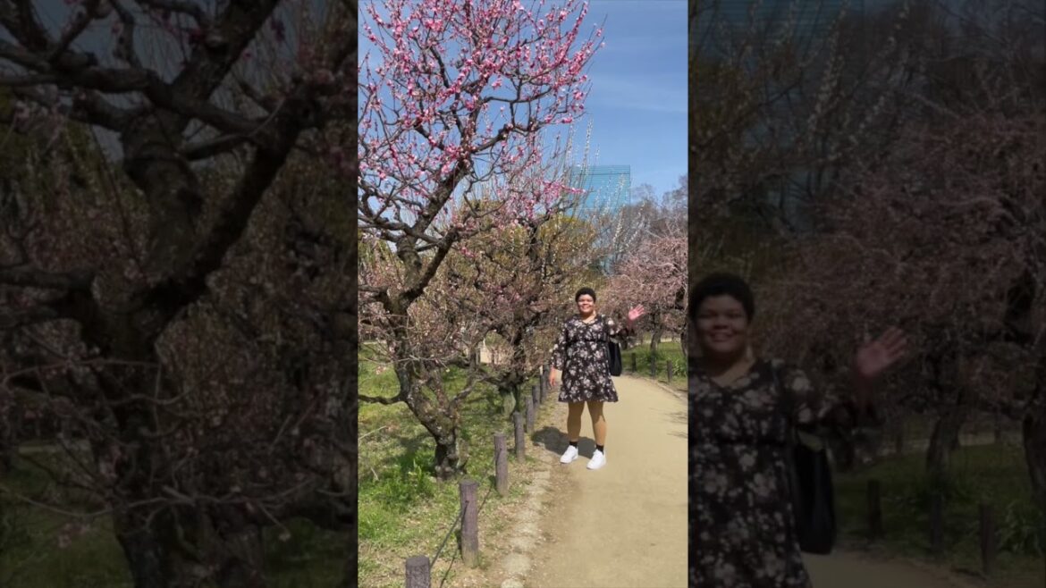 I Went to Osaka Castle to see Plum Blossoms