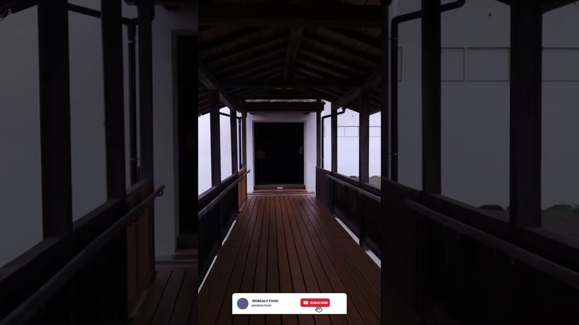 I spent the day in Shizouka Japan