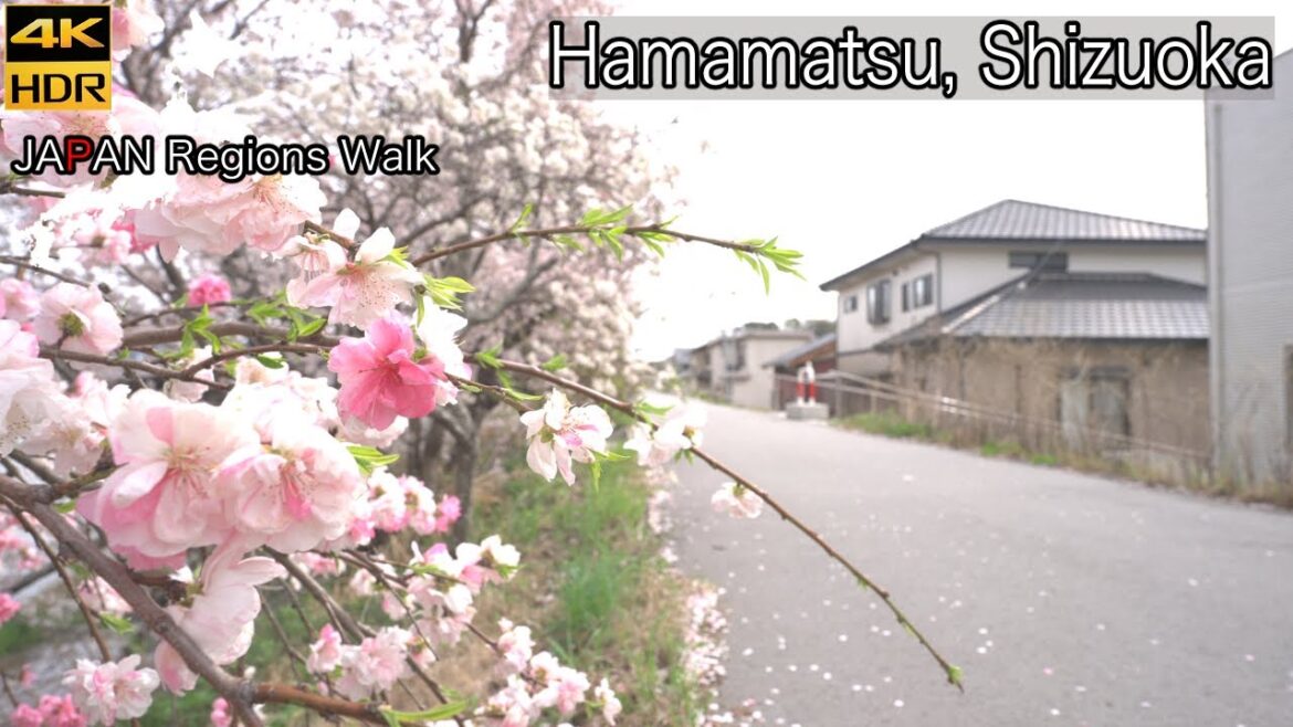 Kiga Station South Side | Kita Ward, Shizuoka | 静岡県浜松市北区気賀駅周辺