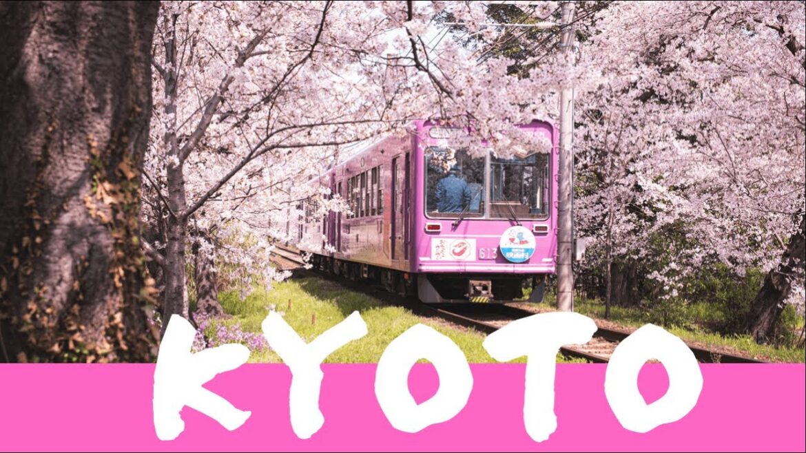 Kyoto Cherry Blossom 2021