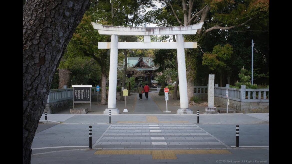Travel Photography at Miho Shrine, Shizuoka, Japan, with the Fujifilm X100V | 静岡県・三保半島にある「御穂神社」 Travel Photography at Miho Shrine, Shizuoka, Japan, with the Fujifilm X100V | 静岡県・三保半島にある「御穂神社」