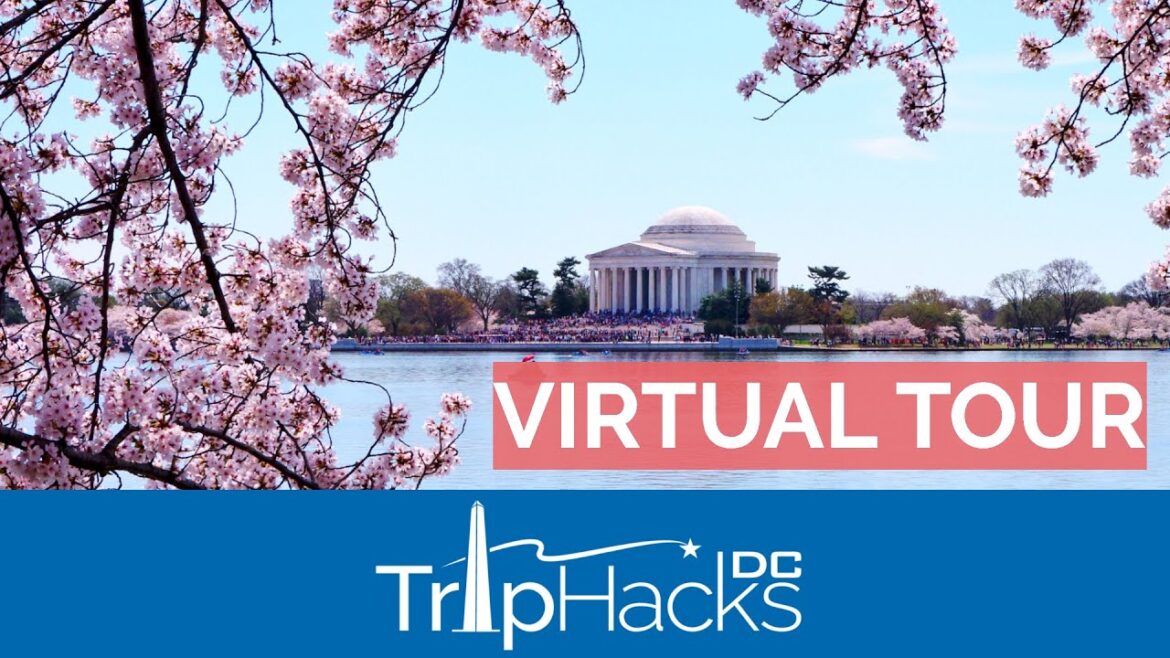 Washington DC Cherry Blossom 2022 Virtual Tour ๐ธ 4K Narrated Washington DC Cherry Blossom 2022 Virtual Tour ๐ธ 4K Narrated
