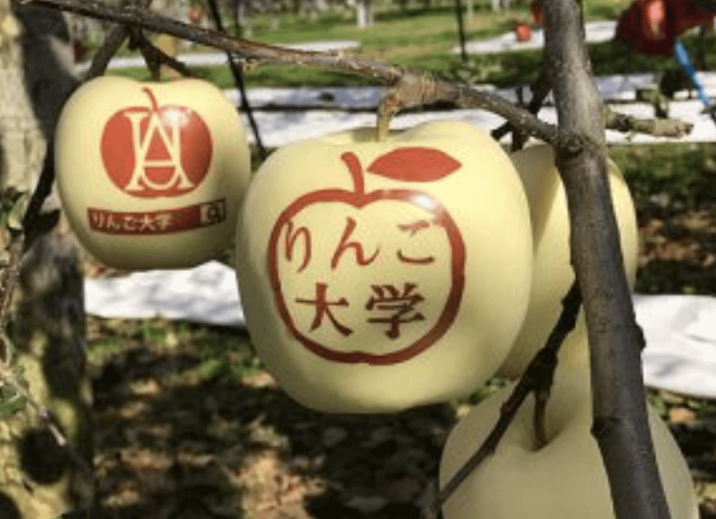 Mojie apples
