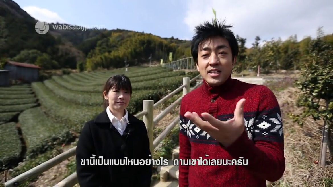 ไร่ชาเขียวไฮโซ ชื่อดังของ Shizuoka SUGOI JAPAN Ep58 ไร่ชาเขียวไฮโซ ชื่อดังของ Shizuoka SUGOI JAPAN Ep58