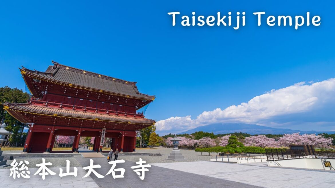 【4K】総本山大石寺 - Taisekiji Temple / Cherry Blossom / Cinematic / Japan / α7SⅢ