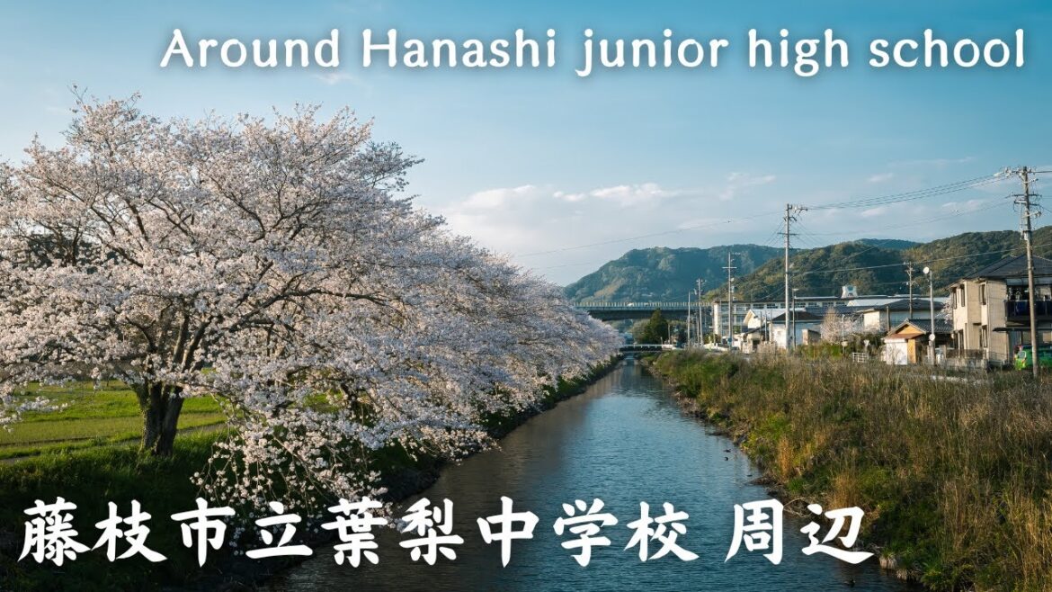 【4K】葉梨中学校周辺 – Around Hanashi junior high school / Walking tour / Japan / DJI Pocket 2 【4K】葉梨中学校周辺 - Around Hanashi junior high school / Walking tour / Japan / DJI Pocket 2
