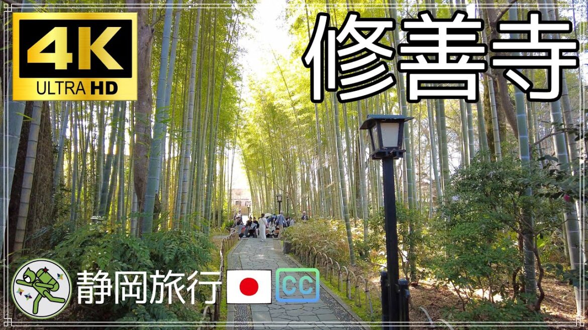 【Japan 4K 60fps】静岡旅行 修善寺 竹林の小径 筥湯 渡月橋 虎渓橋 独鈷の湯 / Shizuoka Shuzenji Bamboo forrest hako yu onsen