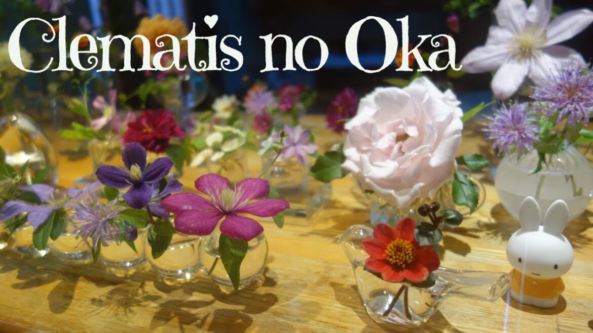 クレマチスの丘 | Clematis no Oka