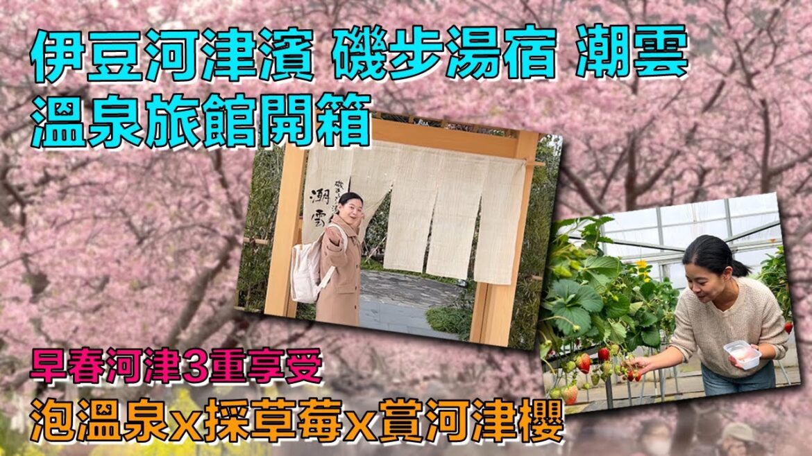 早春河津之旅 | 2022年新開幕「伊豆河津濱 磯步湯宿 潮雲」溫泉旅館開箱×採草莓×櫻花祭典 早春河津之旅 | 2022年新開幕「伊豆河津濱 磯步湯宿 潮雲」溫泉旅館開箱×採草莓×櫻花祭典