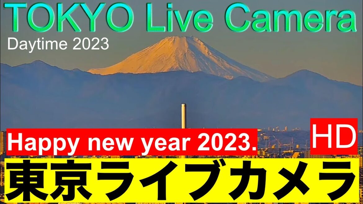 桜、TOKYO LIVE CAMERA ,東京ライブカメラ,  Línea Tokio,  Tokyo Line,  东京现场摄像,  도쿄 라이브 카메라