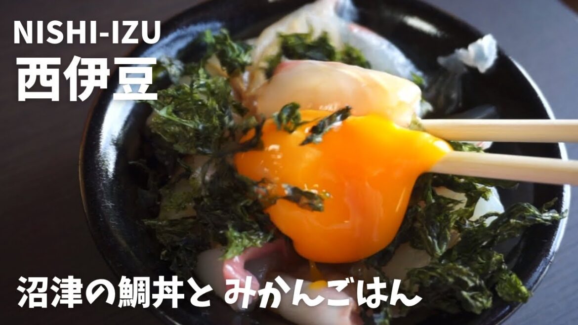 ［西伊豆］沼津の行列店で、人気No.1の鯛丼をいただく日帰りドライブ｜熱海プリン