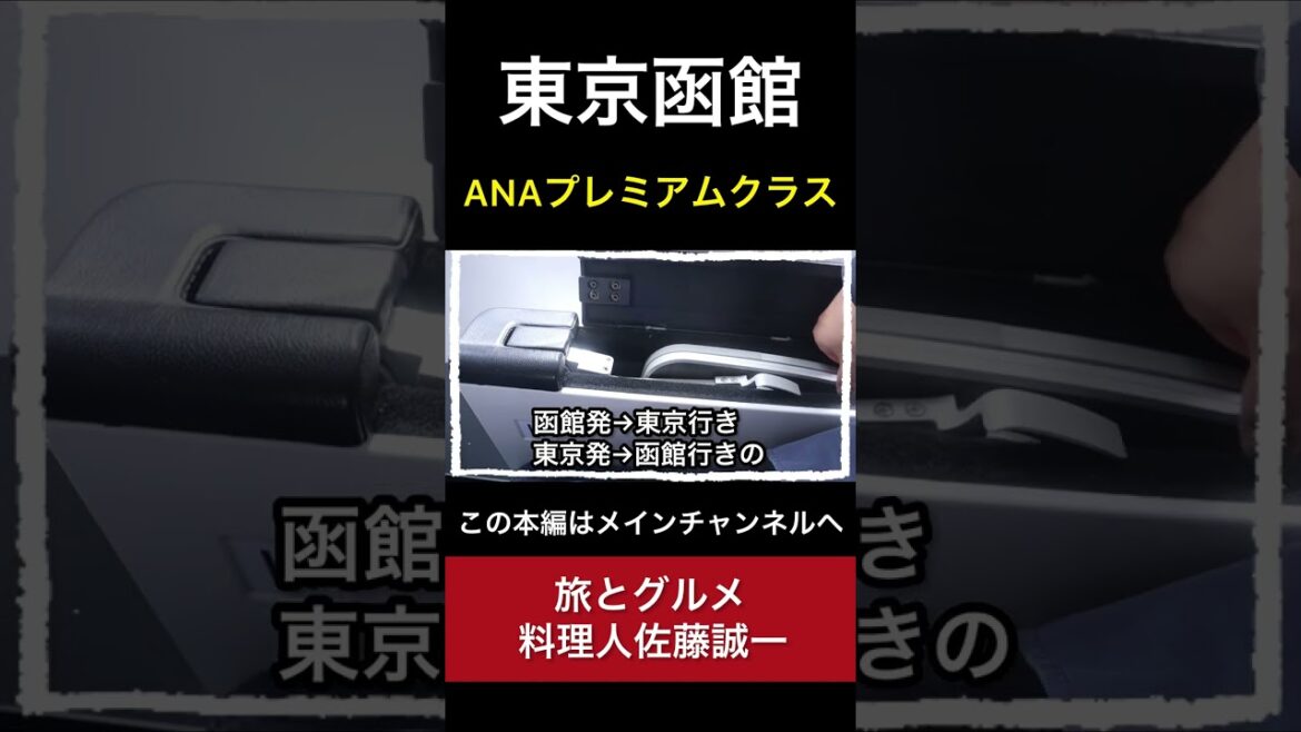 【羽田空港】無料でワインが飲み放題！？ANA プレミアムクラス 往復完全版 #Shorts