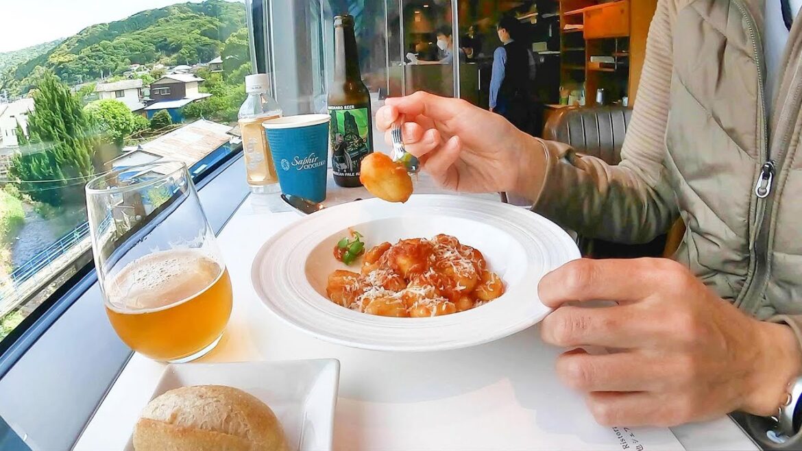 Japanese Express Train | Travel alone to enjoy the elegance of a sapphire ride