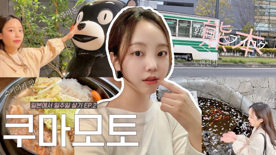 벚꽃과 함께한 일본 여행 일주일 vlog🌸 EP.2 쿠마몬이 가득한 구마모토🐻❄️,스키야키 맛집,구마모토성,후쿠오카공항국내선 야경,일본 휴게소 벚꽃과 함께한 일본 여행 일주일 vlog🌸 EP.2 쿠마몬이 가득한 구마모토🐻❄️,스키야키 맛집,구마모토성,후쿠오카공항국내선 야경,일본 휴게소