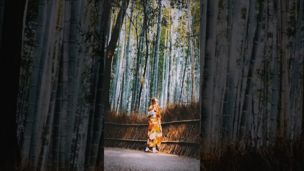 no restrictions, Japan #japanroadtrip #covidnews #travelfacts