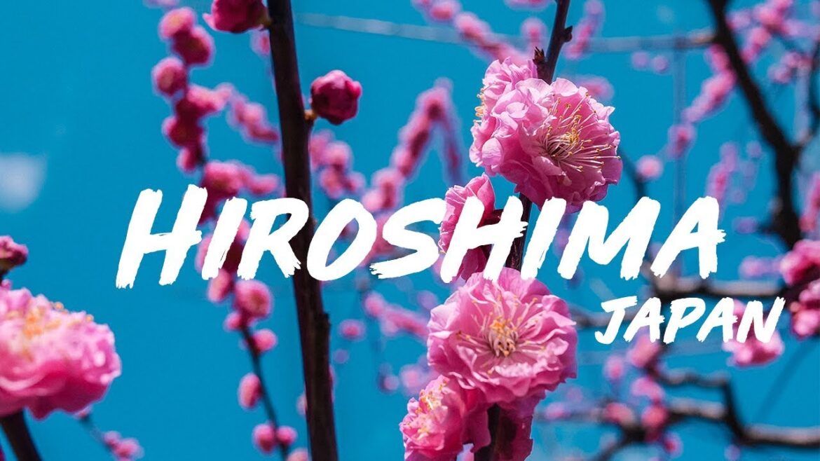 JAPAN LOCAL FOOD, WHAT DID WE JUST EAT??  - REISVLOG #16