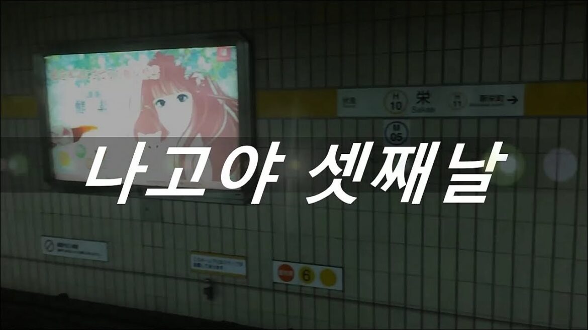 2014 일본 나고야 여행 nagoya trip 3편