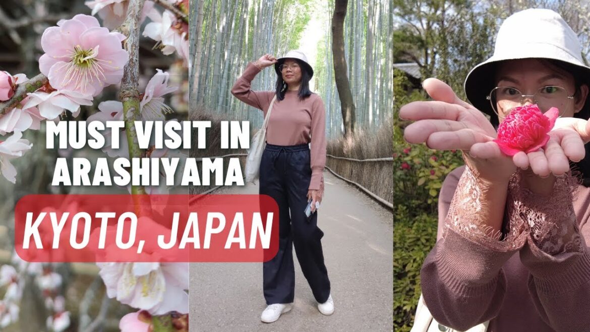 Day Trip to Arashiyama: Bamboo Forest, Horinji Temple, Tenryu-ji Temple | JAPAN Travel Vlog 🇯🇵🇵🇭