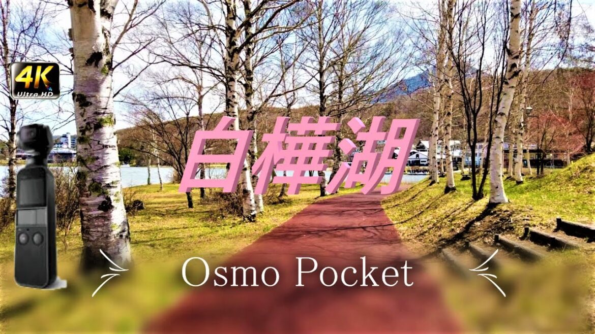 【白樺湖】遊歩道　DJI Osmo Pocket【4K】(車載：GoPro HERO7 BLACK)