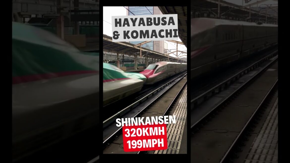 🚅 SHINKANSEN - Japan's Bullet Train passing at high speed #japan #travel #bullettrain