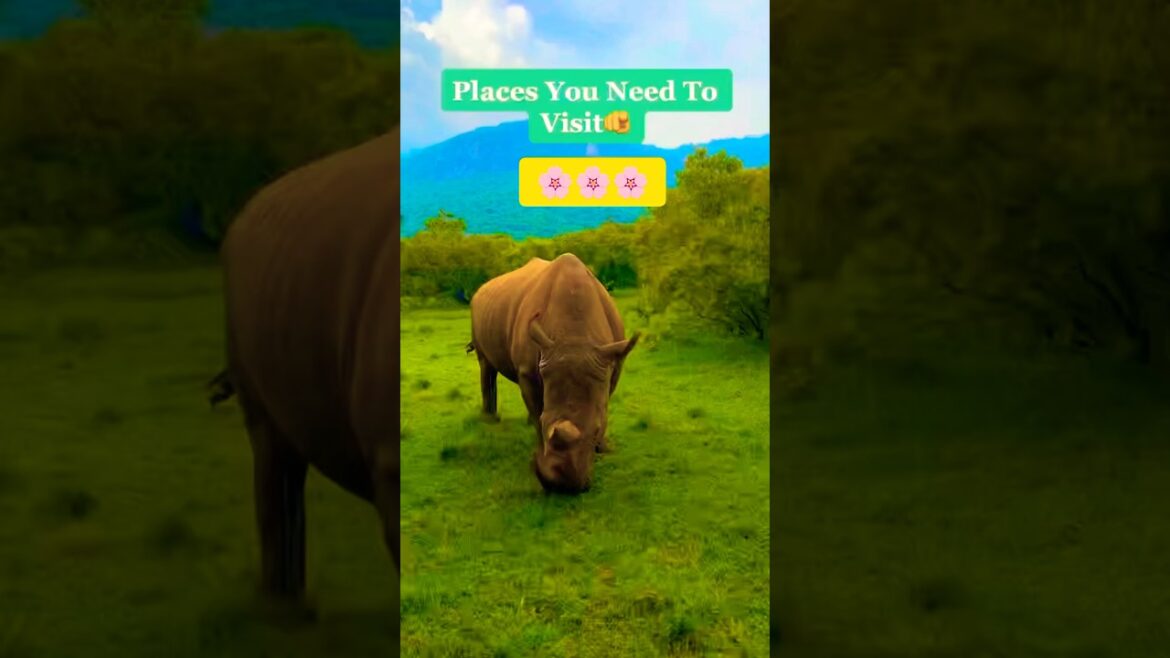 STUNNING Places That Will Make You Travel RIGHT NOW! #travel #travelvlog #traveling #travelling STUNNING Places That Will Make You Travel RIGHT NOW! #travel #travelvlog #traveling #travelling