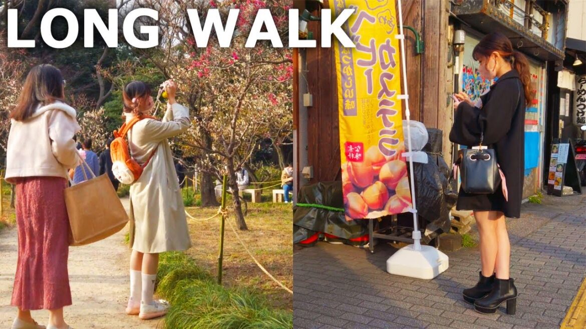 [4k] Tokyo - Walk from Korakuen to Yotsuya. Amusement park, gardens, shrines, etc. (Mar. 2023)