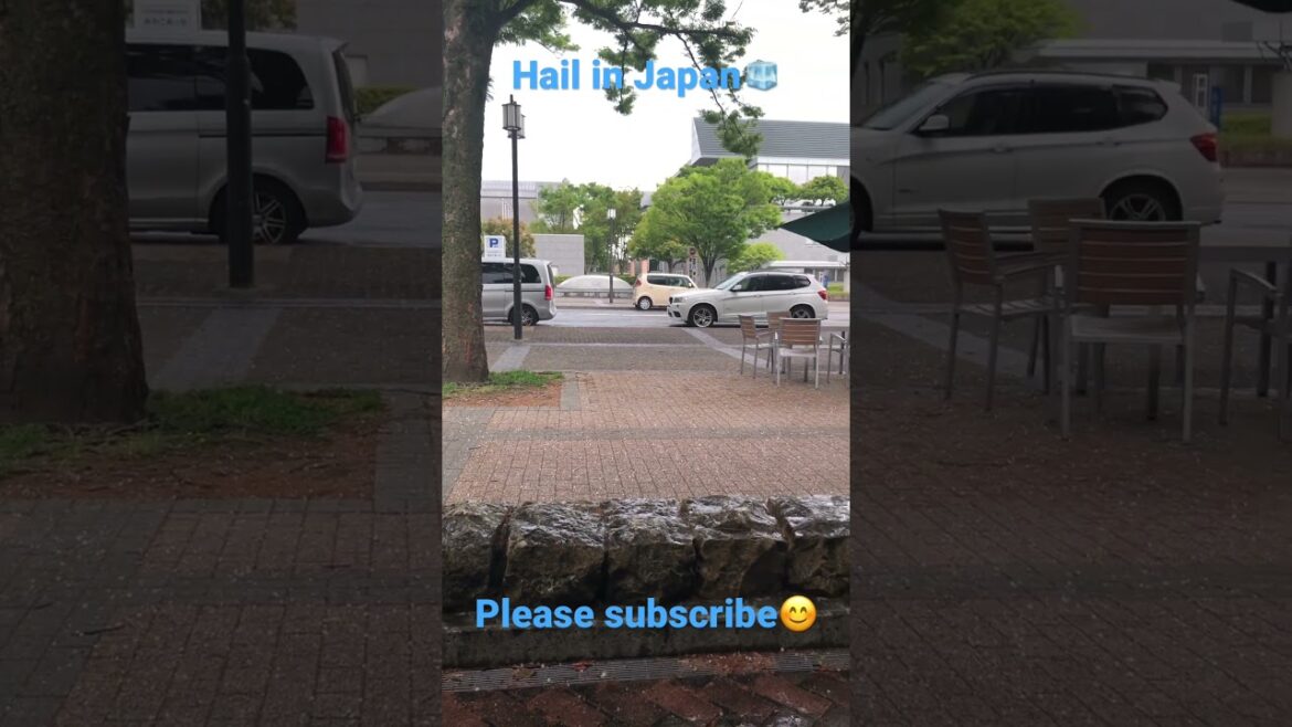Hail in Kyoto extreme whether🧐#japan #travel #spring #pleasesubscribe #shorts #hail