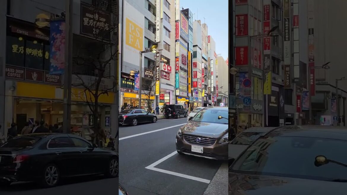 #japan #tokyo #traveli #viral #shortsvideo #shinjuku #japanese #japan #tokyo #traveli #viral #shortsvideo #shinjuku #japanese