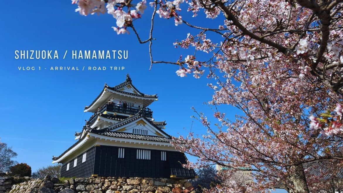 Road trip to Shizuoka / Hamamatsu from Nagoya Road trip to Shizuoka / Hamamatsu from Nagoya