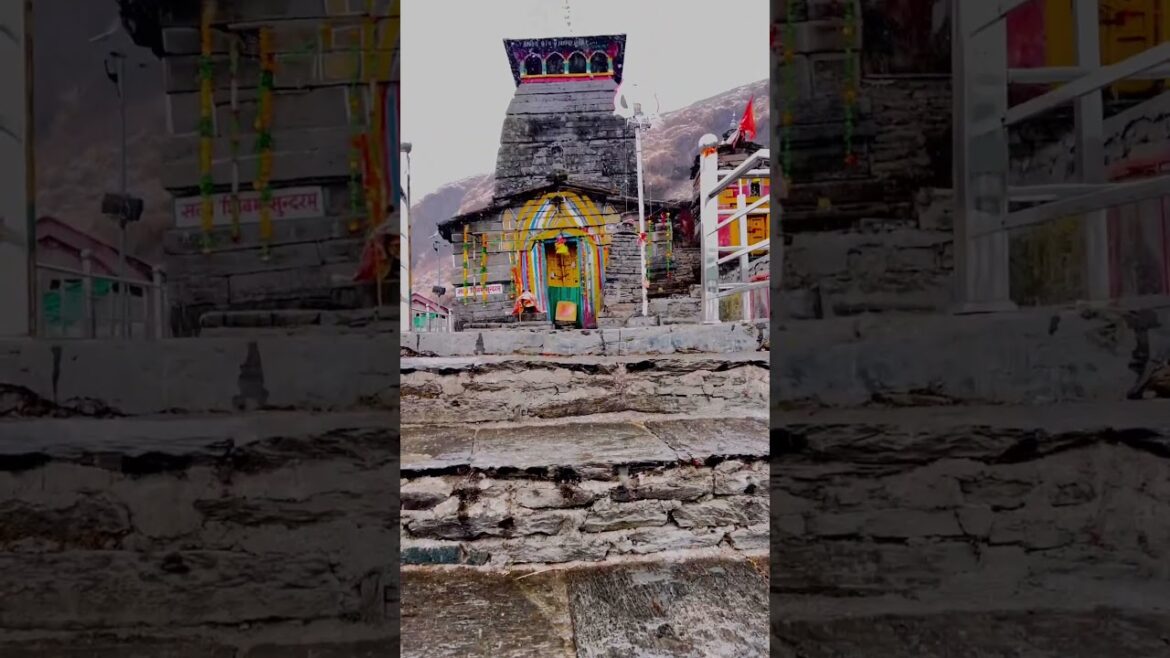 Tunganath #shorts #youtubeshort #tunganath #ytshort #beautiful