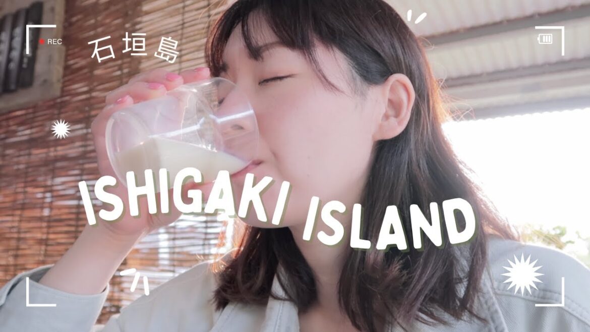 [With Subtitles] Ishigaki Island Travel Guide2: Must-Visit Places, Food, and Budget Tips for Couples