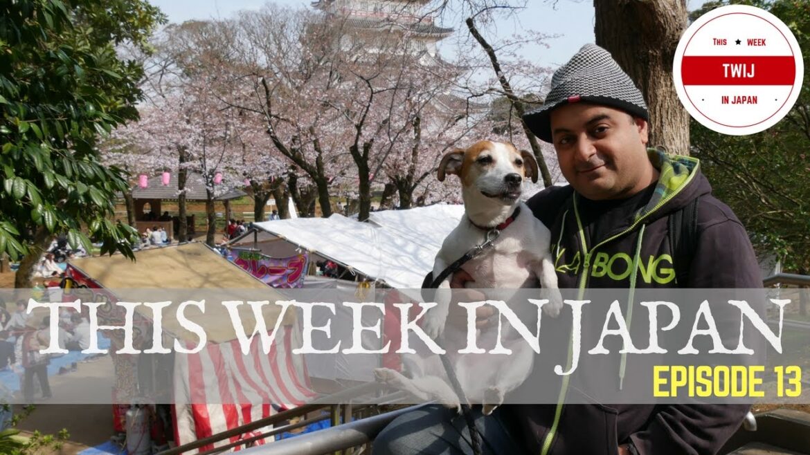 Living Like The Japanese:This Week In Japan [Episode 13]