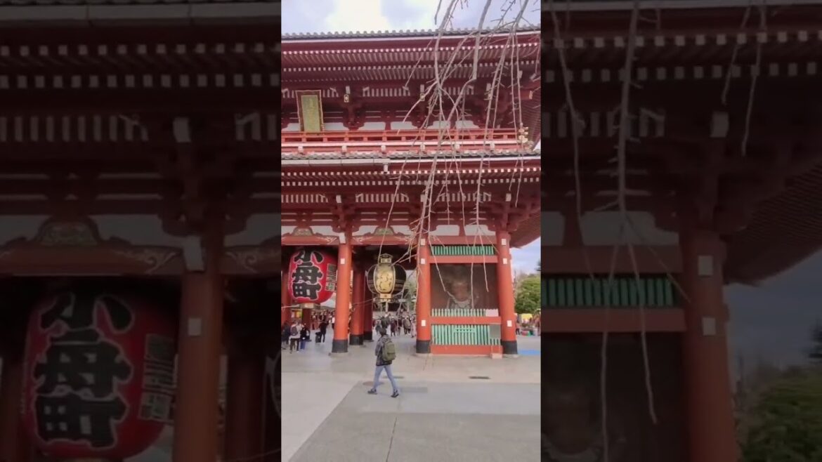 Things to do in Tokyo Part 2: Sensoji Temple #shorts #tokyo #visitjapan #sensojitemple