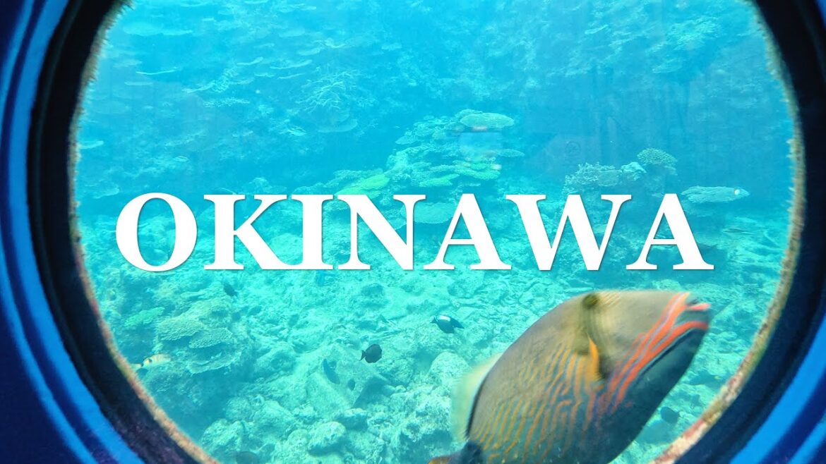 부모님과 첫 해외여행, 오키나와 3박 4일 여행 (일정표 포함) / 만좌모, 부세나 해중공원, 동남식물낙원, 코우리섬, 비세 후쿠기 가로수길, 맛집, 풀빌라