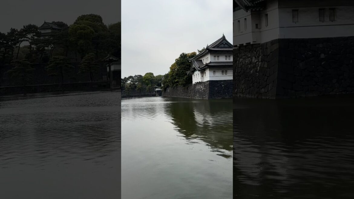Imperial Palace Garden. #travel #japan #2023 #trending #shorts #tokyo #spring #anime #thingstodo