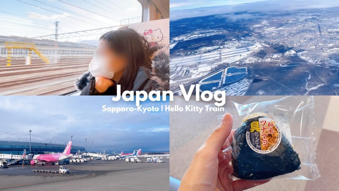 Japan Vlog 🇯🇵 Domestic Flight from Hokkaido to Kansai via Peach Airline ✈️