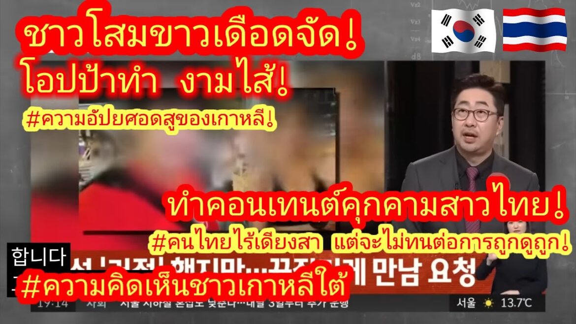 EP. 258 🇰🇷🇹🇭 #สื่อเกาหลีใต้ตีข่าว #โอปป้าทำงามไส้ในไทย ชาวโสมขาวสวดยับ #ความคิดเห็นชาวต่างชาติ