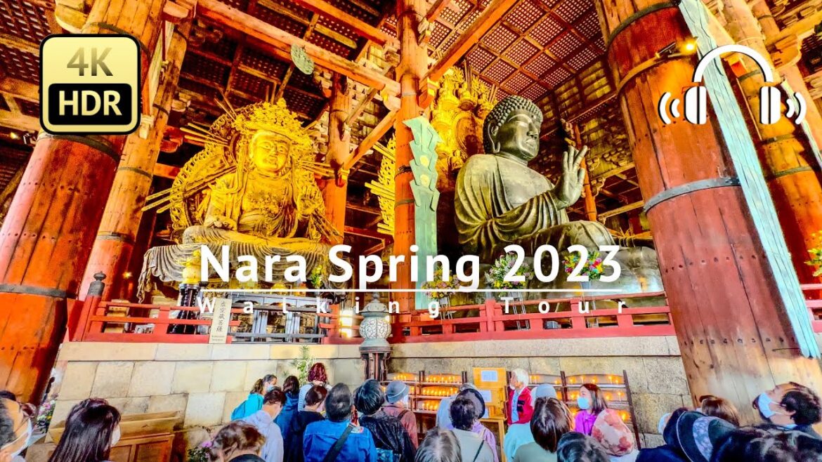 Nara Spring 2023 & The Bowing Deer Walking Tour - Nara Japan [4K/HDR/Binaural]