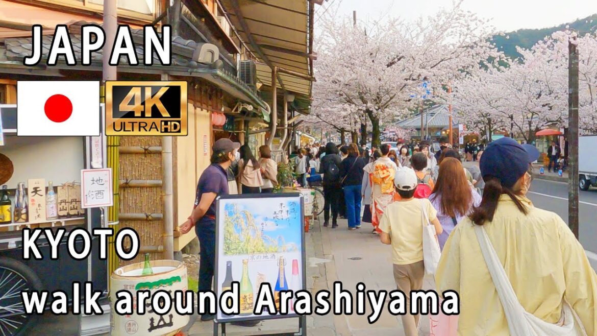 Japan Kyoto(Walk around Arashiyama)