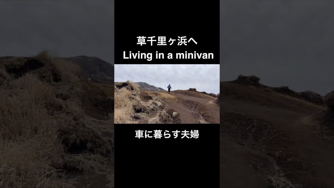 【車中泊】軽自動車で暮らす日常 | Living in a Minivan #shorts