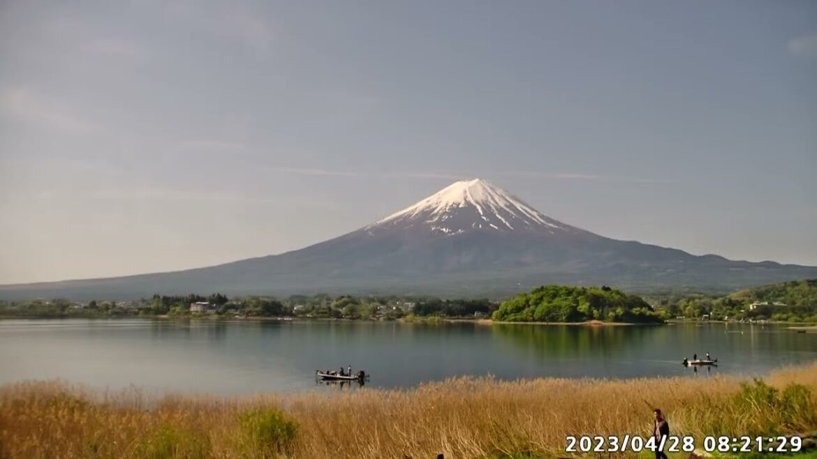 [LIVE]【2023.4.28】富士山ライブ　大石公園　河口湖　ライブカメラ