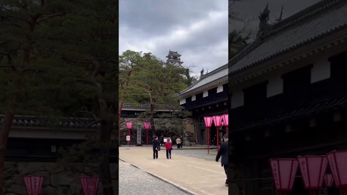 The View From Kochi Castle | Kochi, Japan #japan #architecture #kochi