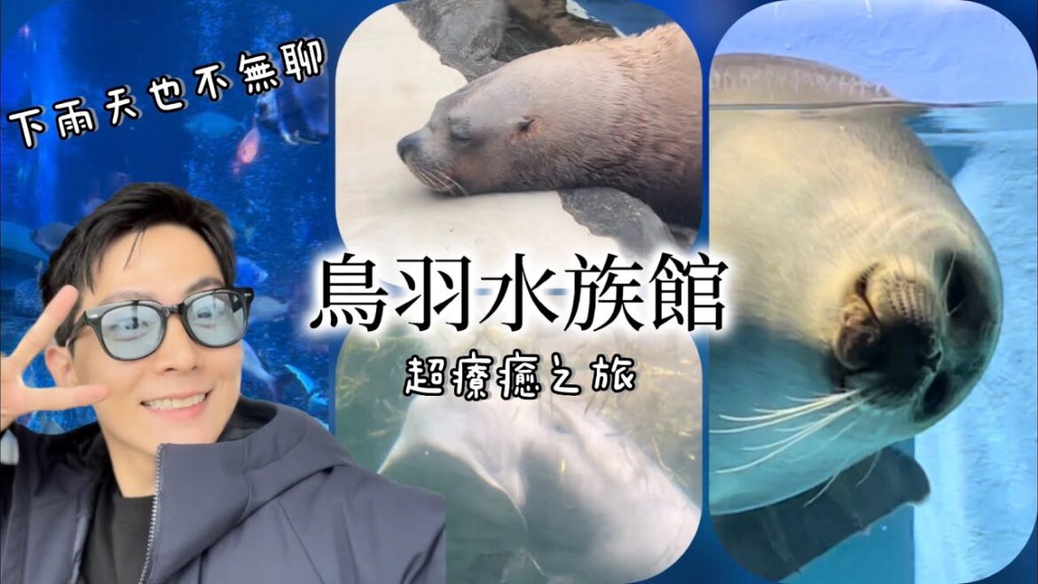 名古屋自由行|日本唯一就在鳥羽水族館🐬這三個展區沒看別說你去過! 名古屋自由行|日本唯一就在鳥羽水族館🐬這三個展區沒看別說你去過!