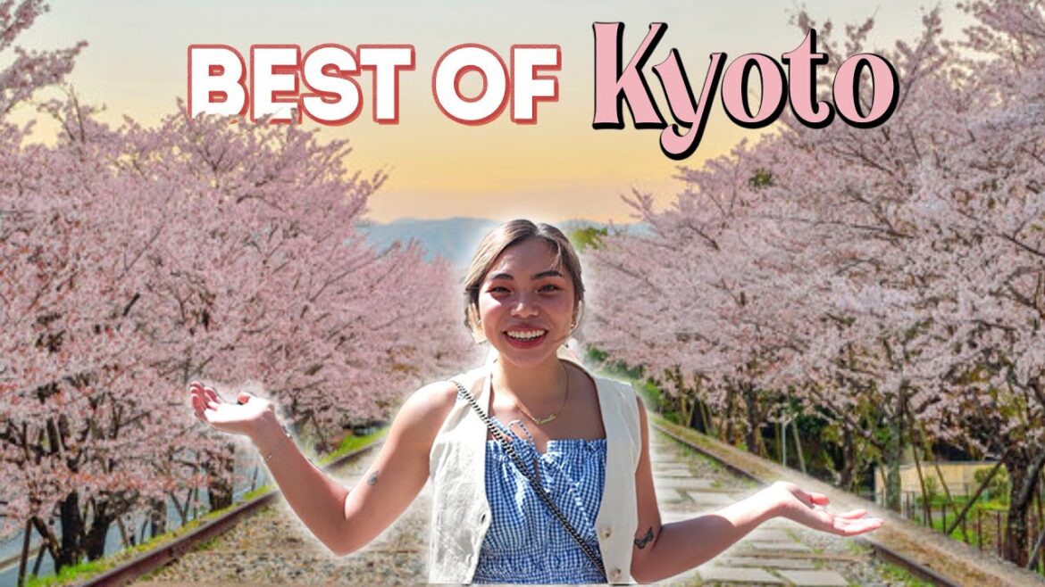 Kyoto is a DREAM! Visiting Nishiki Food Market, Thrift Shopping & Sakura spots Kyoto is a DREAM! Visiting Nishiki Food Market, Thrift Shopping & Sakura spots