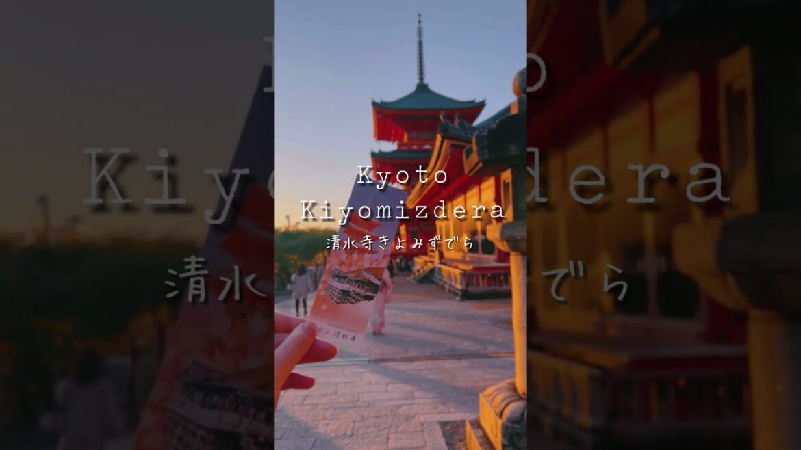 1분으로 여행하는 교토 청수사_1minute travel in kyoto kiyomizdera🇯🇵🌿