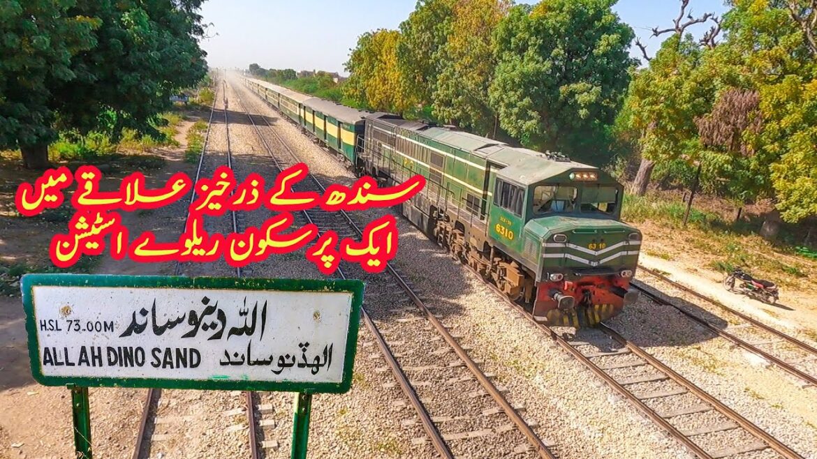 Tranquil Railway Station in Fertile Area of Sindh | Train Actions at Allah Dino Sand